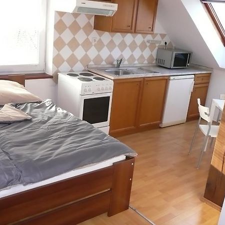 Apartments U Cara Ceske Budejovice Værelse billede