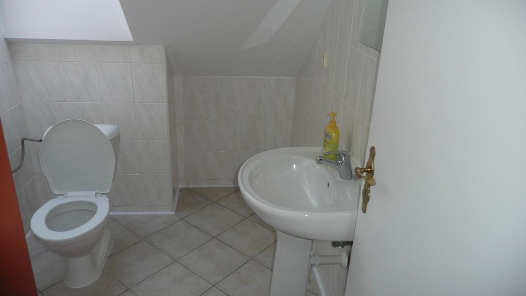 Apartments U Cara Ceske Budejovice Værelse billede