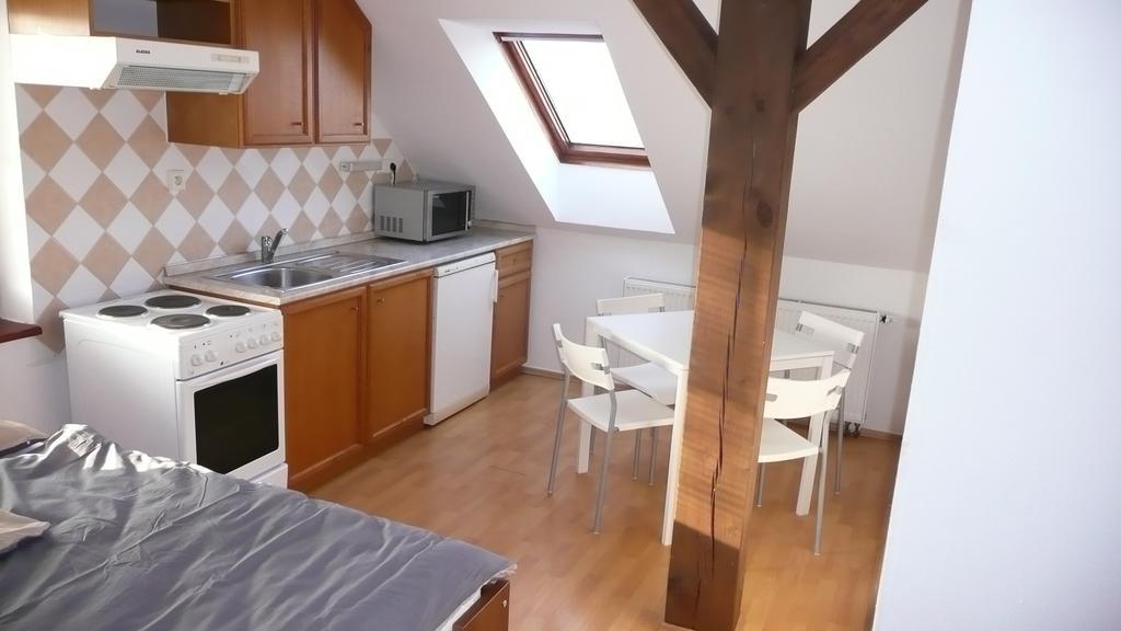 Apartments U Cara Ceske Budejovice Værelse billede