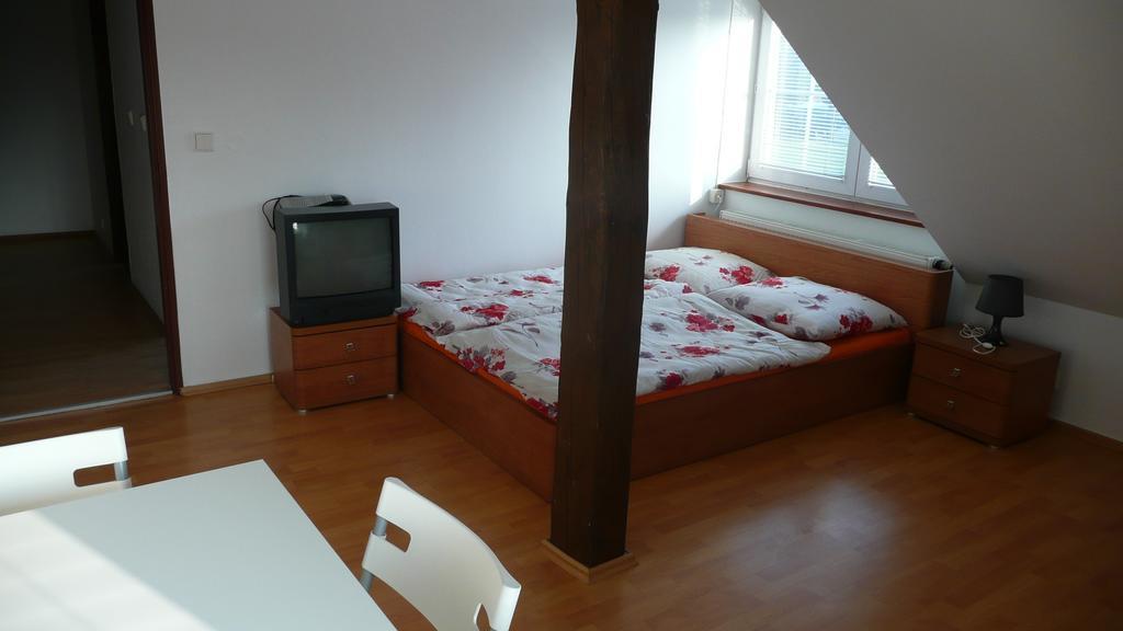 Apartments U Cara Ceske Budejovice Værelse billede